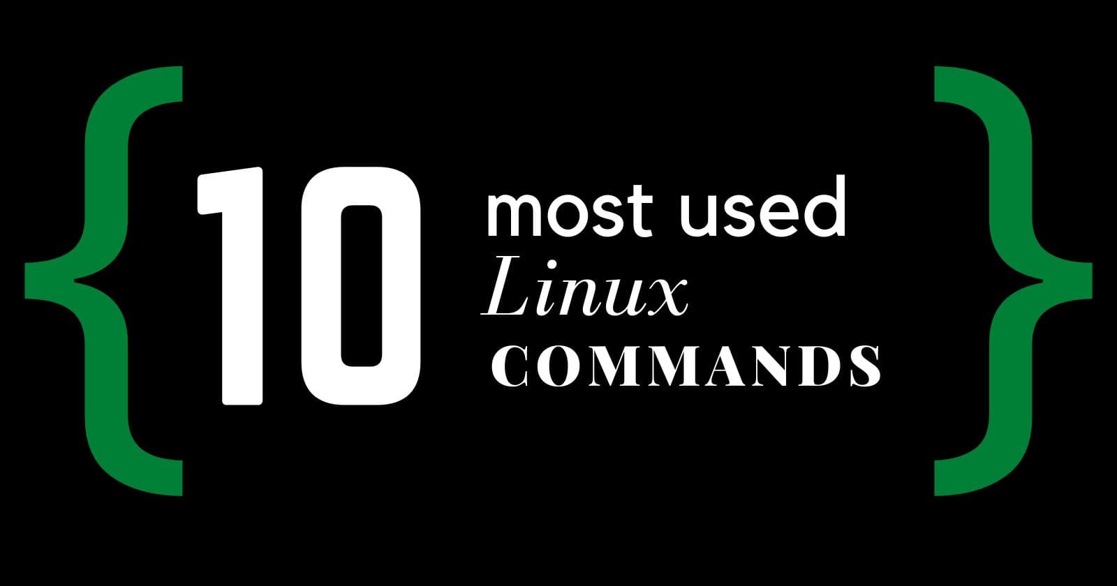 Master the Linux Terminal: Top 10 Most Essential Commands to Know